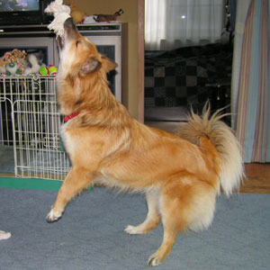 �Ԃ牺�����Ă������Ȃ�