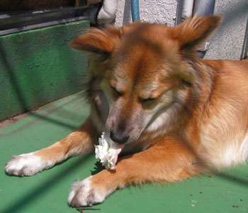 ���킭�Ȃ�����