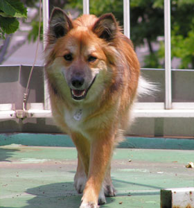 �����Ȋ����𑕂�