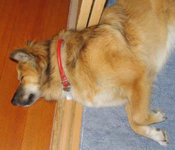 �^�ē��͘L�����C��������