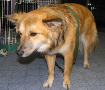 �Ȃ񂩏ォ�牟����Ă�I