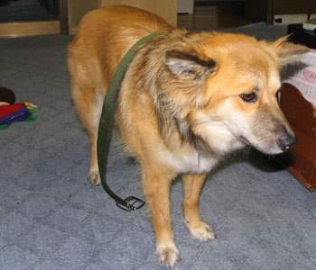 �����Ȃ��Ȃ���