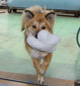 �ł��V��łق����Ǝ����Ă���