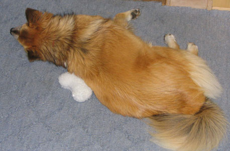 �����ɂ�������