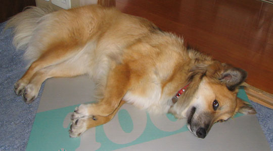 �A���~����������