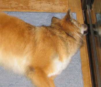 �Ȃ�ƂȂ��Q�ꂵ��