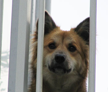 ������̌�����͎₵��