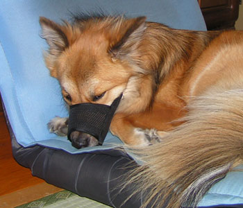 �܂��i��������