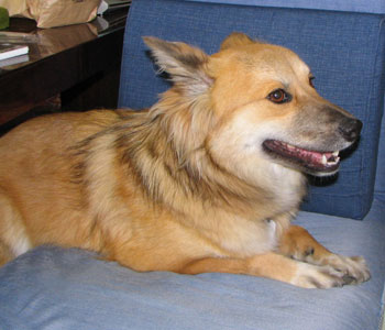 ��j�ɋ����ăe�[�u������o���Ȃ�