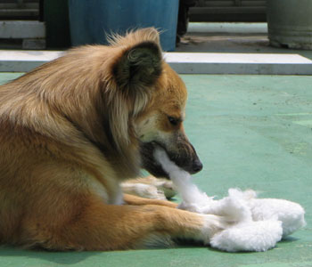 �I���`���������Ȃ��Ă���