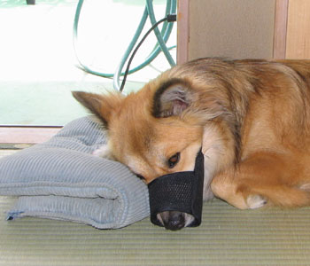 �܂��i���Ă��܂���