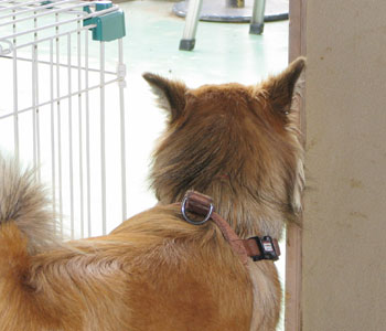 �������L�����Ԃł��Ȃ����o���Ȃ�