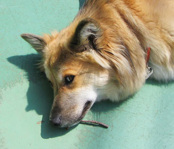 �����Ȃ��Ă�