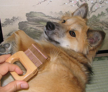 ���H�����������������H