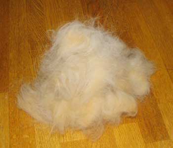 �͂Ȗт̎R�͕W���Q�O�����𒴂���