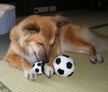 ����Ă�����đ���������