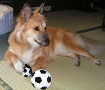 ���̃q���A������ꂻ������