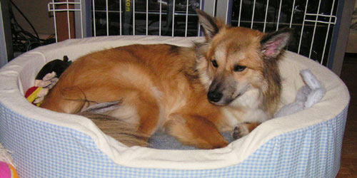 �Ȃ񂩗��������Ȃ�