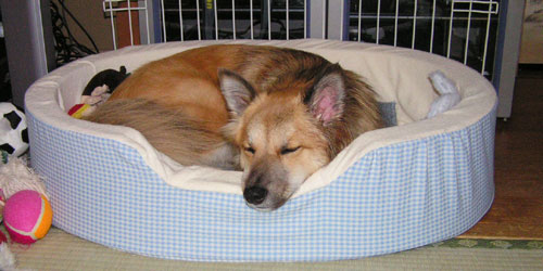 ���ӁA�Q���ӂ�����Ă��Ƃňړ�����