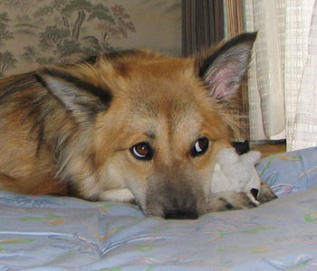 ����A�O�ɃK�L���Q�ĂȂ������H