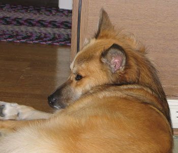 ��H�Q�ꂵ��