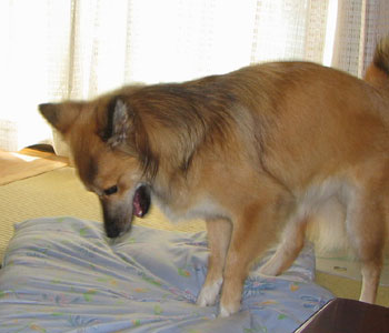 �@��₷����