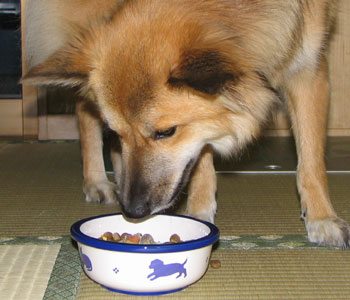 �V�����H��͓����Ȃ��ĐH�ׂ₷��