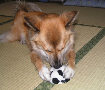 ���񂾂�k�ރ{�[��