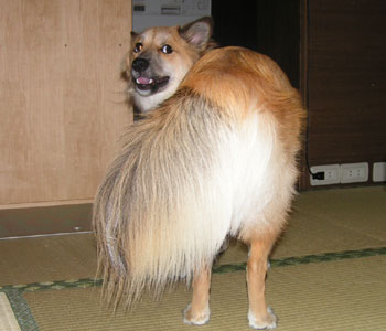 ���K��G���Ă����ۂŉB��