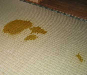 �����̔ӂɕs�o�ɂ��e�����E�E�E