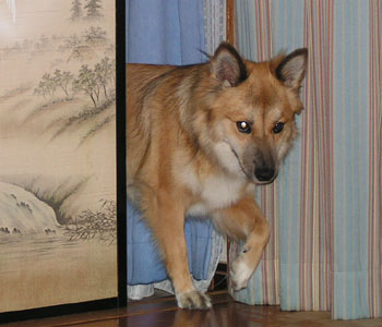 �`������߂�