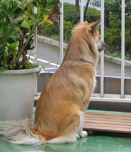 �G��Ă邩�炷�̂���u�����炵������