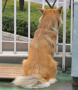 �悯�č����Ă��܂�