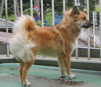 ���N�͑䕗��������