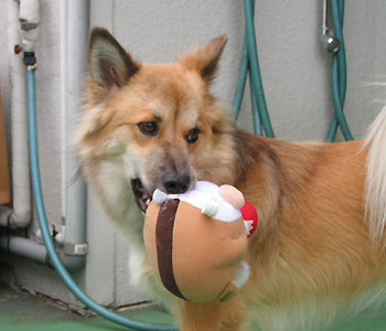 ���������A���������