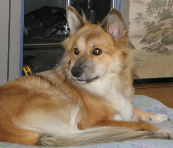 �u�����I�v�ƌ�����ƘL�������߂�