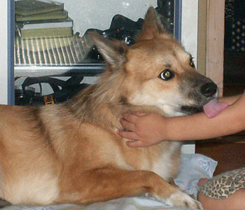 �������q����D��