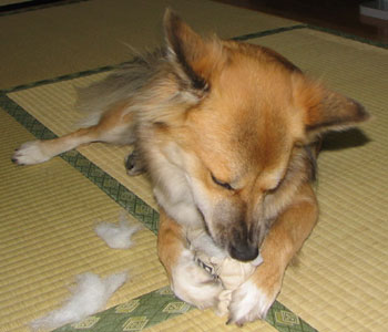 ���^���Ƃǂ߂Ȃ��Ȃ��Ă���