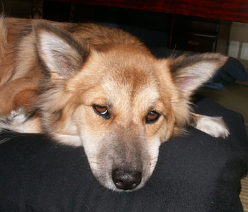 ���Ȃ��ł�