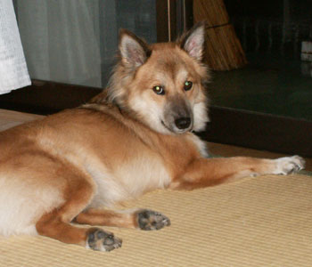 ���N�͉J��������