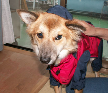 �����R�����E�E�E