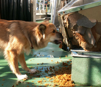 ������ς���ΎR�ƂȂ�