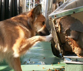 �@��Ƃ��Ƃ�����Ƃ��͐^��