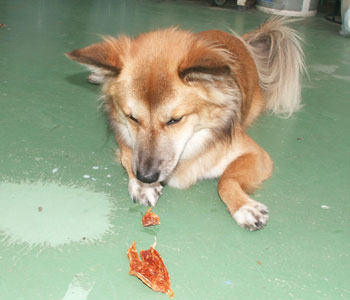 ������Ɛ؂��Ă�����ĐH�ׂ�