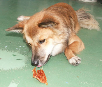 �c�肪�܂��傫��