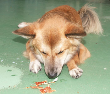 �҂��Ă��珬�����Ȃ���