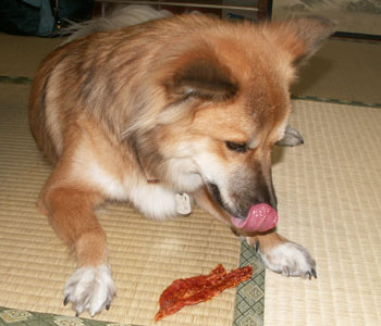 �������傫�������E�E�E