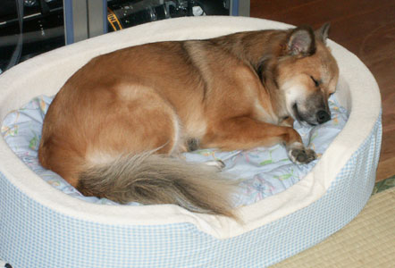 �����Ȃ�����