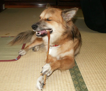 ��������������