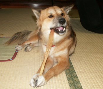 ���Ă�Ƌꂵ��